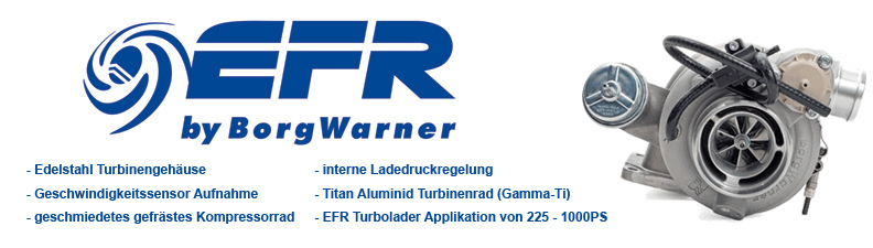 Borg Warner EFR Turbolader
